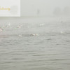 Triathlons : 